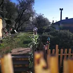 Ca Di Toni Testana